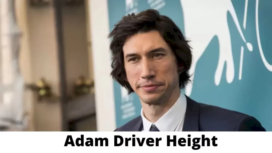 Adam Driver Height How Tall is Adam Driver ?