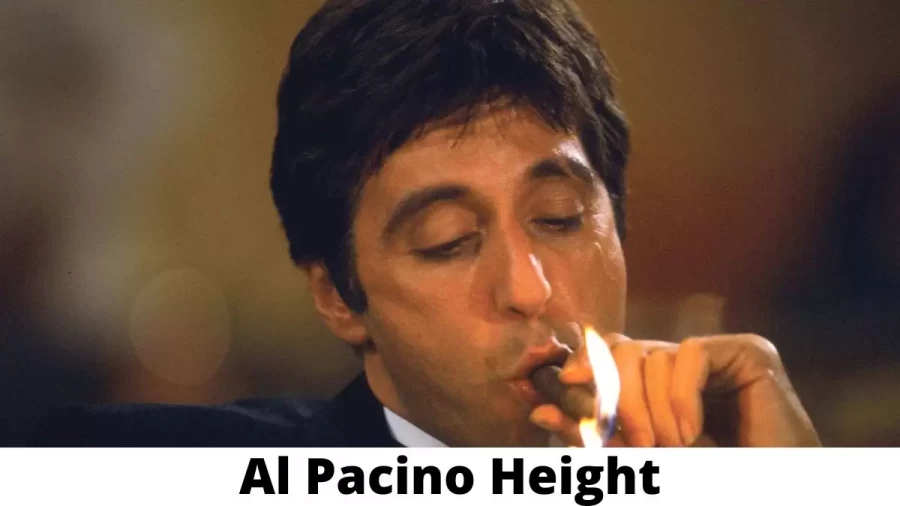 Al Pacino Height How Tall is Al Pacino?