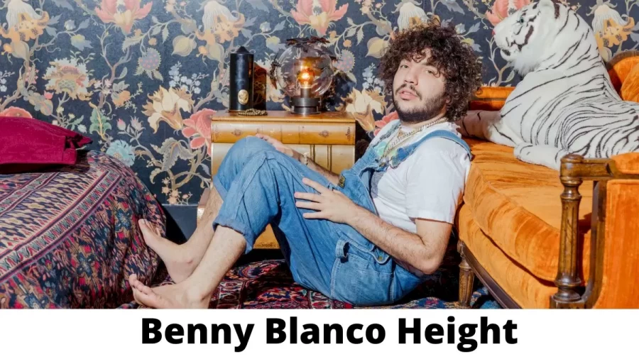 Benny Blanco Height How Tall is Benny Blanco?