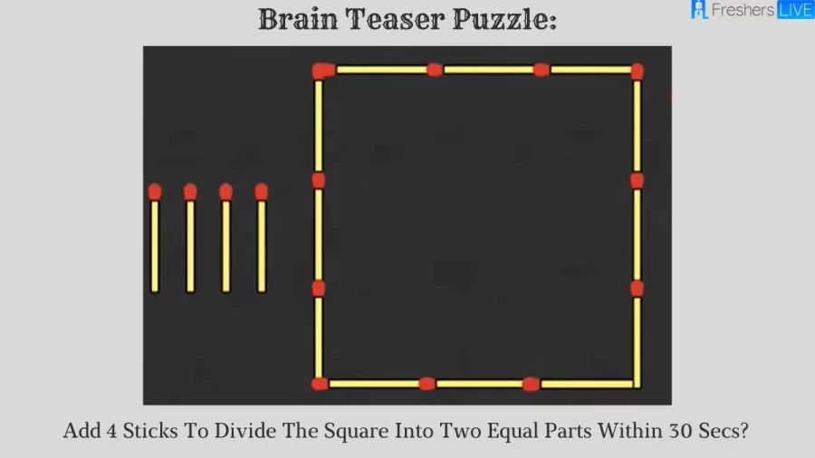 Brain Teaser Puzzle: Add 4 Sticks To Divide The Square Into Two Equal Parts Within 30 Secs?