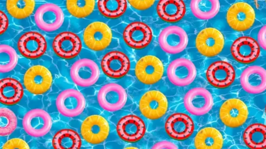 Can You Find The Hidden Doughnut Amid These Swimming Rings Within 19 Seconds? Explanation And Solution To The Hidden Doughnut Optical Illusion