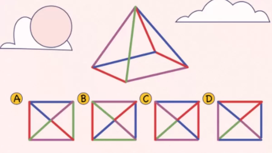 Can You Guess Which Is The Top View Of The Pyramid? Tricky Brain Teaser