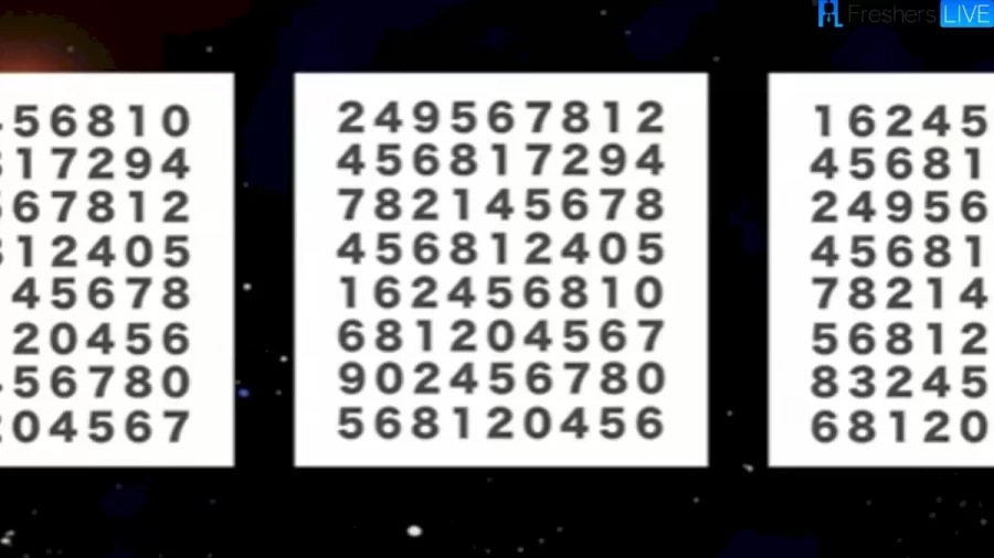 Can You Spot The Number 3 In This Image In 20 Secs? Brain Teaser Puzzle