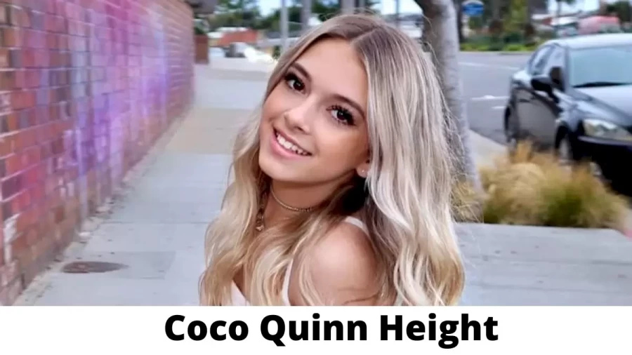 Coco Quinn Height How Tall is Coco Quinn?