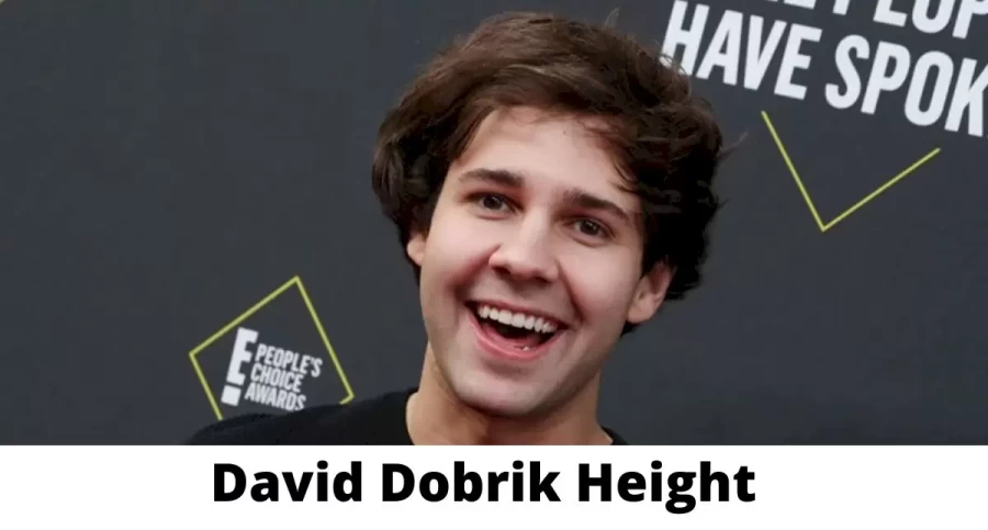 David Dobrik Height How Tall is David Dobrik?