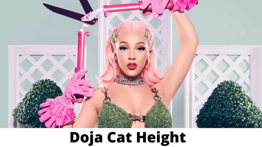 Doja Cat Height How Tall is Doja Cat?+