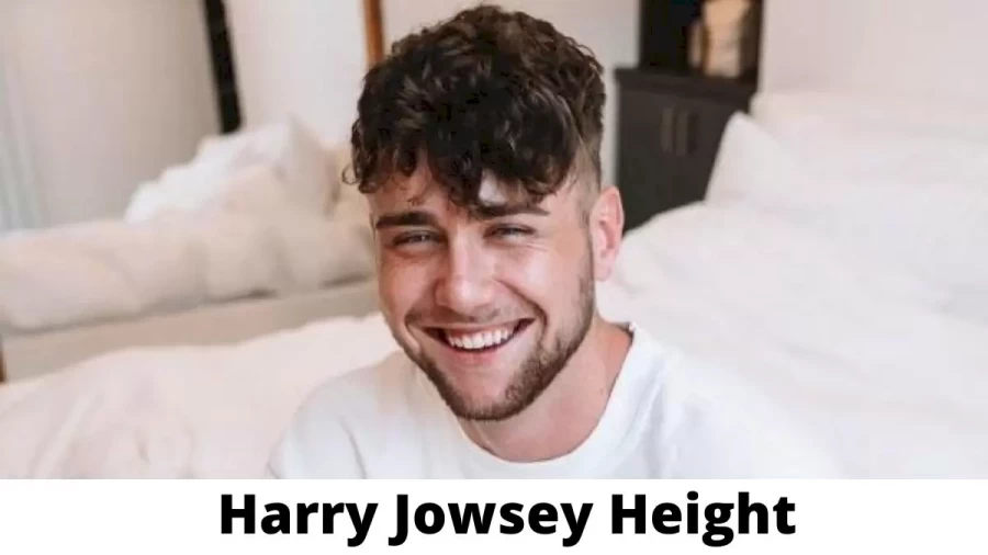 Harry Jowsey Height How Tall is Harry Jowsey?