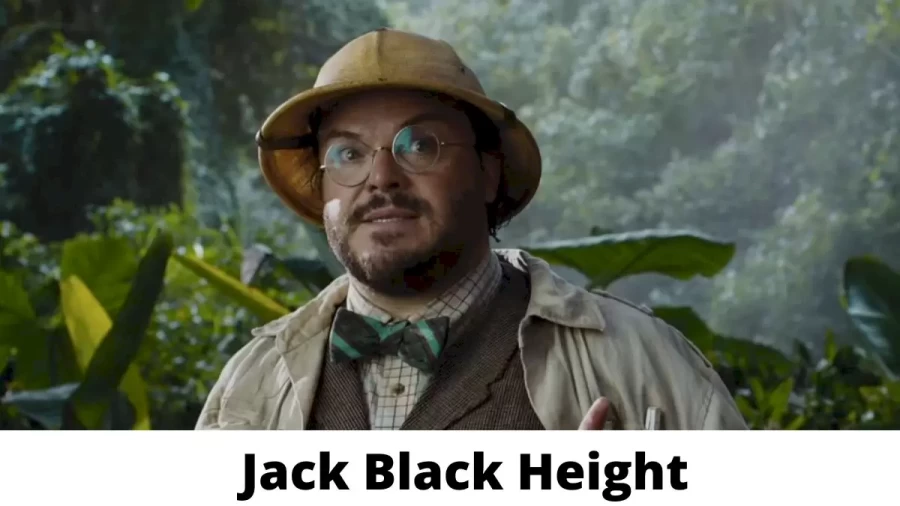 Jack Black Height How Tall is Jack Black?