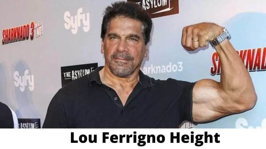 Lou Ferrigno Height How Tall is Lou Ferrigno ?