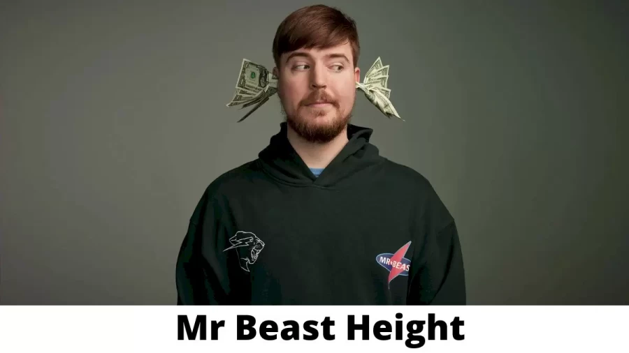 Mr Beast Height How Tall is Mr Beast?