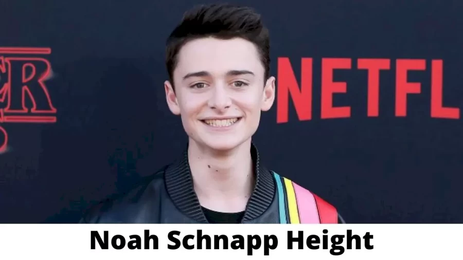 Noah Schnapp Height How Tall is Noah Schnapp?