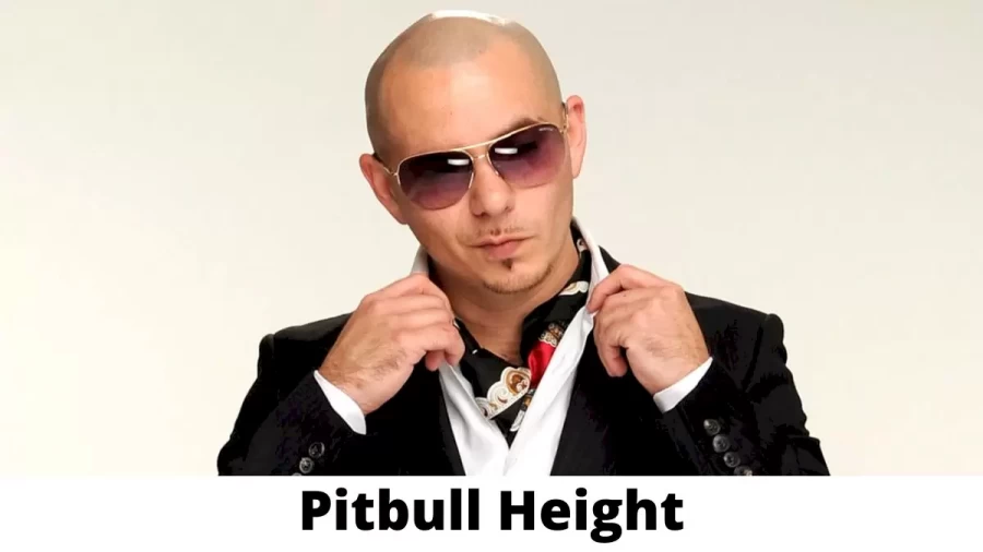 Pitbull Height How Tall is Pitbull?