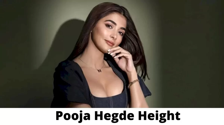 Pooja Hegde Height How Tall is Pooja Hegde?