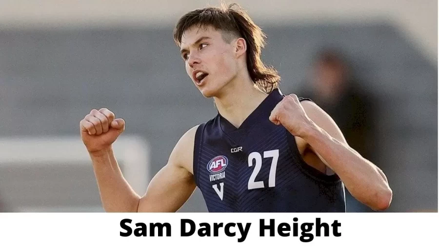 Sam Darcy Height How Tall is Sam Darcy?