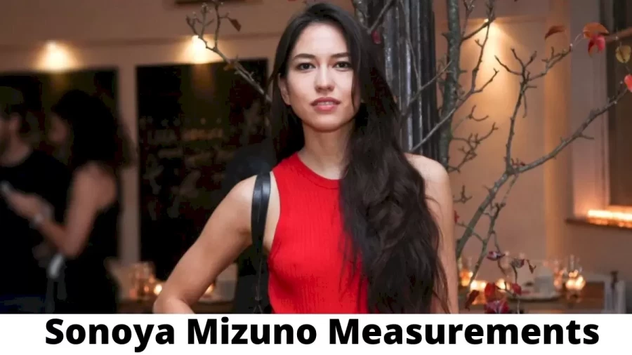 Sonoya Mizuno Measurements Height Weight and Age