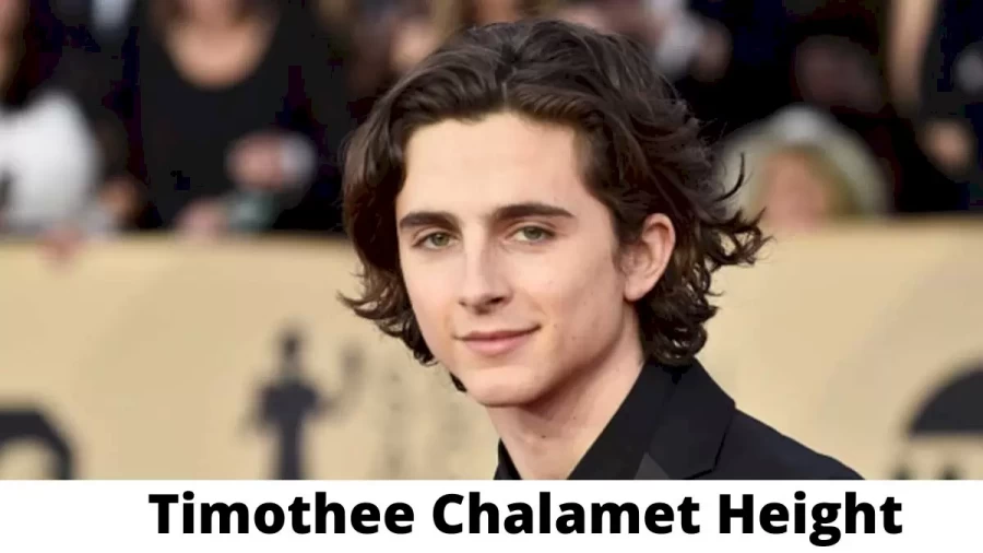 Timothee Chalamet Height How Tall is Timothee Chalamet ?