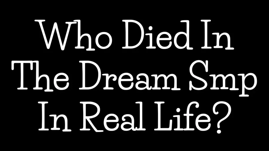 Who Died In The Dream SMP In Real Life? How The Victims Died In The Dream SMP?