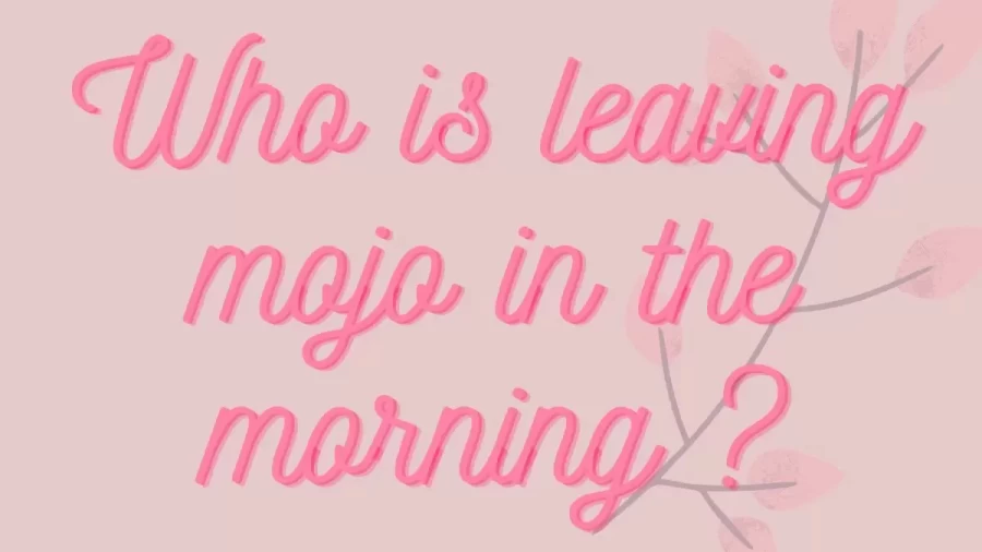 Who Is Leaving Mojo In The Morning? Everything About Mojo In The Morning