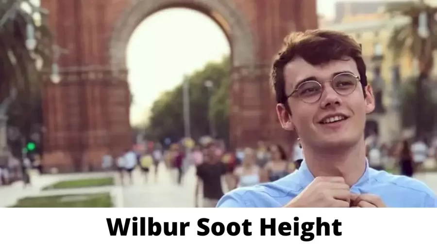 Wilbur Soot Height How Tall is Wilbur Soot?