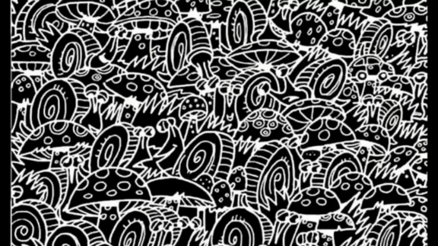 Brain Teaser Eye - Do You See A Car In This Picture Puzzle?