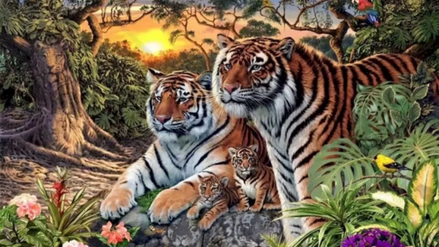 Brain Teaser: How Many Tigers Are There?