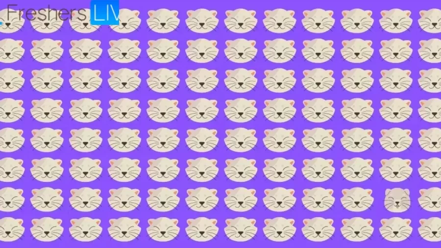 Can You Find The Cat That Is Different From The Others In This Image Within 14 Seconds? Explanation And Solution To This Optical Illusion