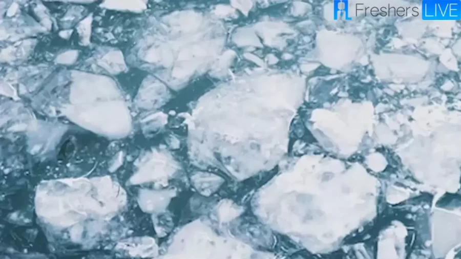 Can You See The Hidden Face In This Ice River? Explanation And Solution To This Optical Illusion