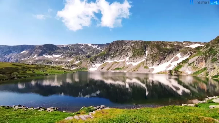 Can You Spot The Hidden Peacock In This Mountain Image Within 16 Seconds? Explanation And Solution To This Optical Illusion