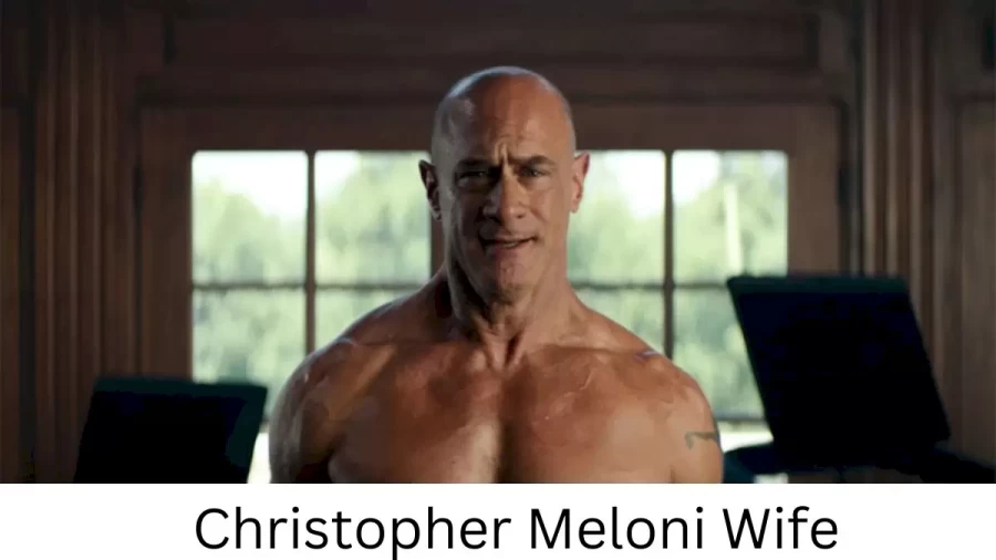 Christopher Meloni Wife Who is Christopher Meloni Wife?