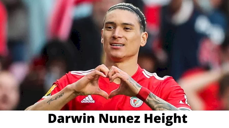 Darwin Nunez Height How Tall is Darwin Nunez?