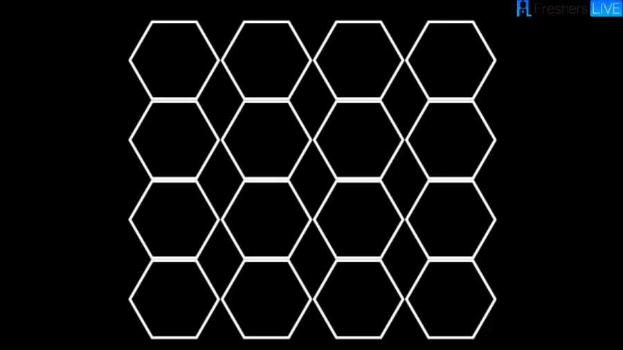 How Many Hexagons Can You Count In This Brain Teaser Shape Puzzle?