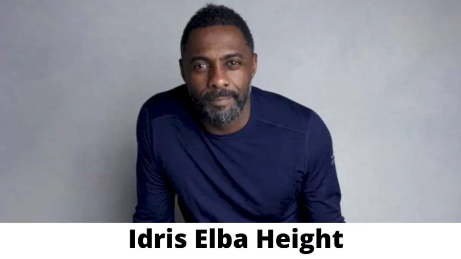 Idris Elba Height How Tall is Idris Elba?