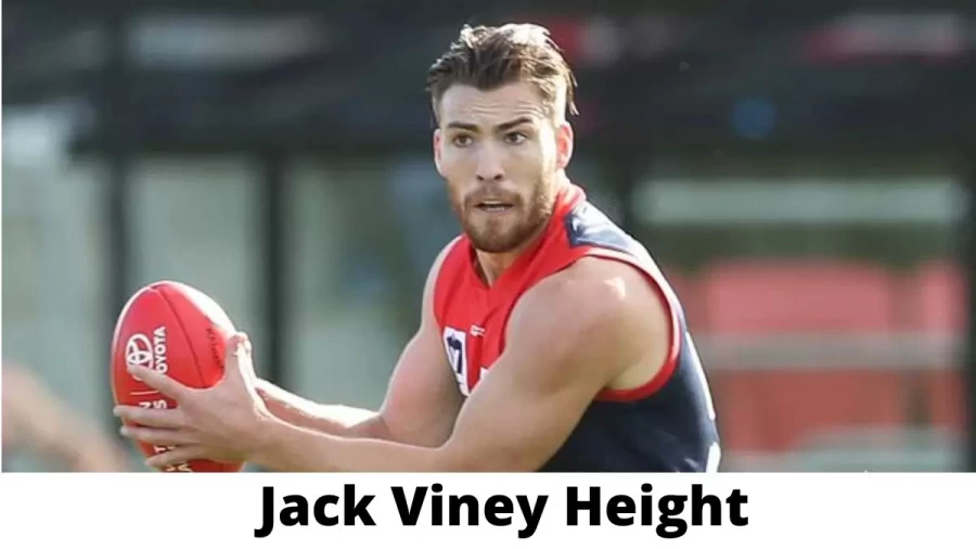 Jack Viney Height How Tall is Jack Viney?