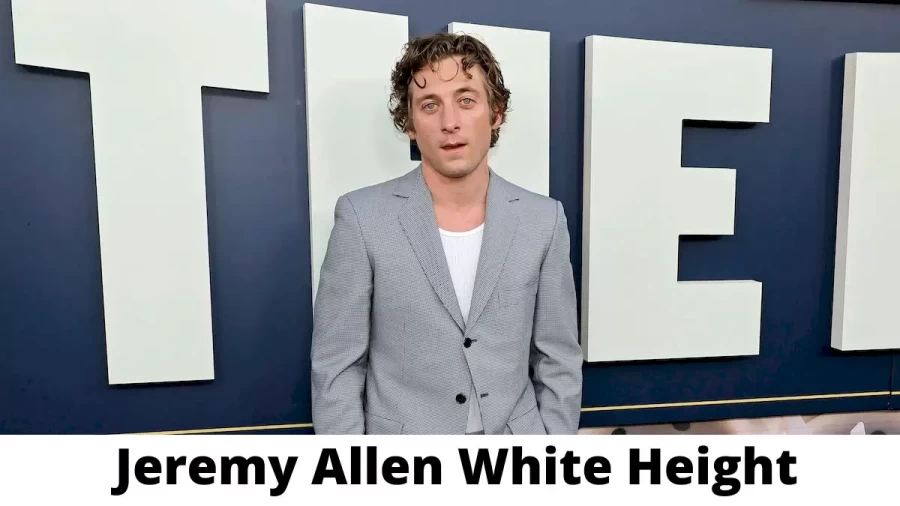 Jeremy Allen White Height How Tall is Jeremy Allen White?