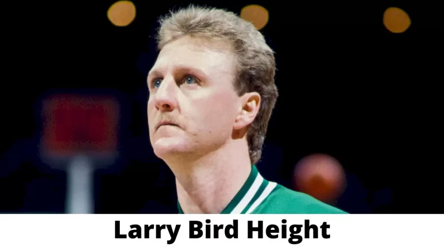 Larry Bird Height How Tall is Larry Bird?