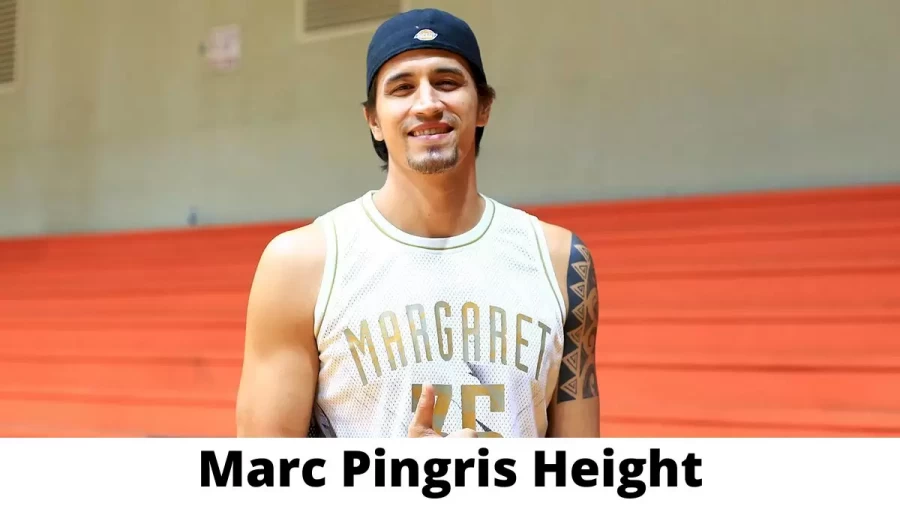 Marc Pingris Height How Tall is Marc Pingris?