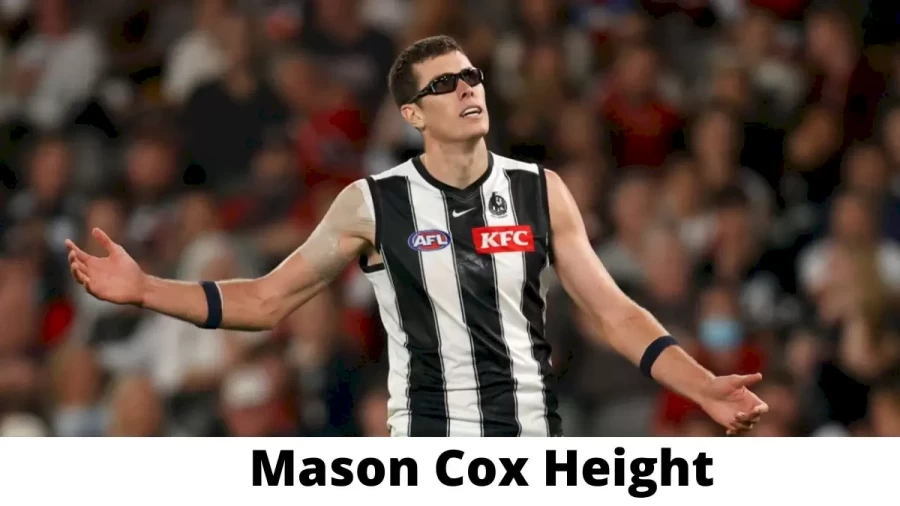 Mason Cox Height How Tall is Mason Cox?