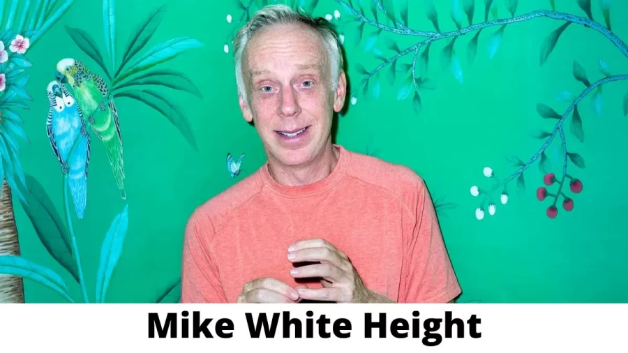 Mike White Height How Tall is Mike White?