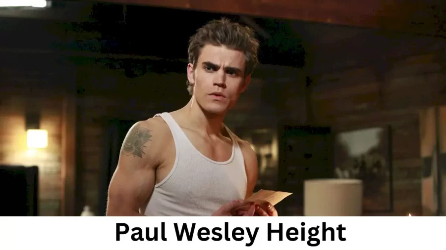 Paul Wesley Height How Tall is Paul Wesley?