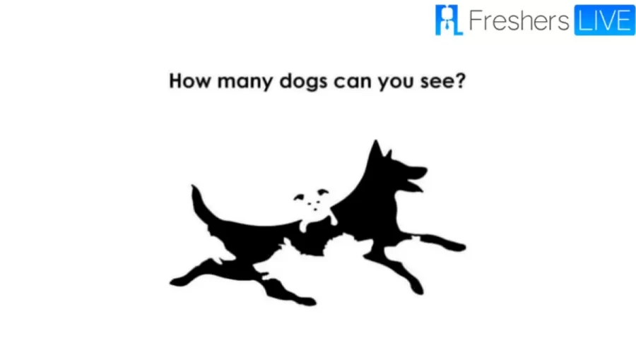 Brain Teaser Eye Test: How Many Dogs are There?