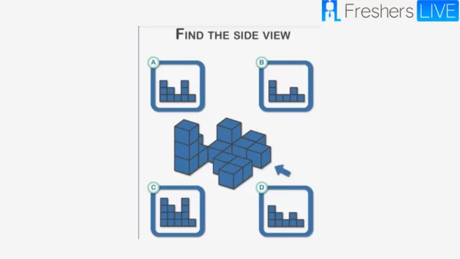 Brain Teaser - Find The Side View Of This Picture Puzzle