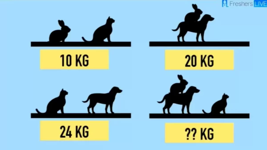 Brain Teaser Of The Day: Guess The Weight Of A Rabbit Cat And Dog - Picture Puzzle