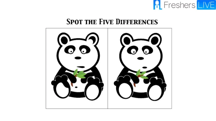 Brain Teaser Picture Puzzle: Can You Spot 5 Differences?