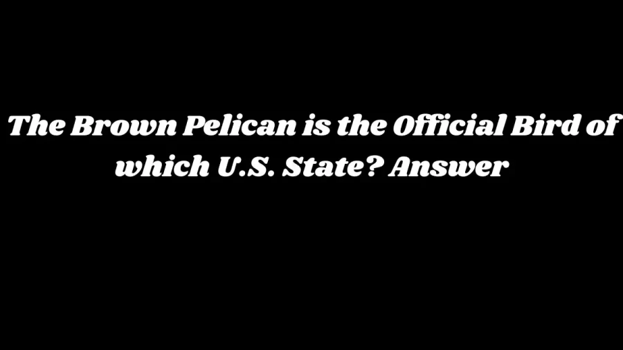 The Brown Pelican is the Official Bird of which U.S. State? Answer