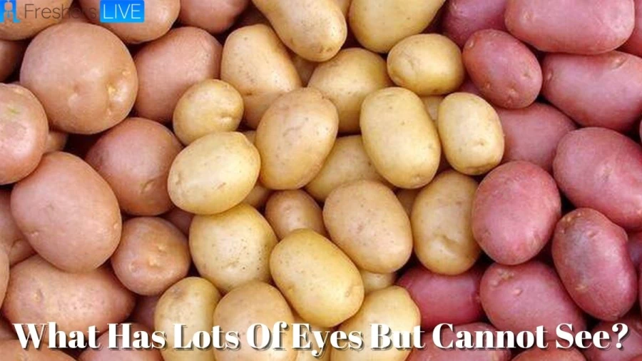 What Has Lots Of Eyes But Cannot See Riddle Answer: Check Here With Explanation Here