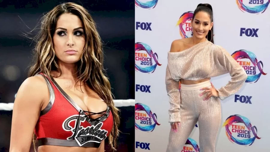 Why Did Nikki Bella Wrestler On Agt? Who Is Nikki Bella Husband? How Did Nikki Bella And Artem Meet? Nikki Bella Engagement Ring, Wedding Pictures