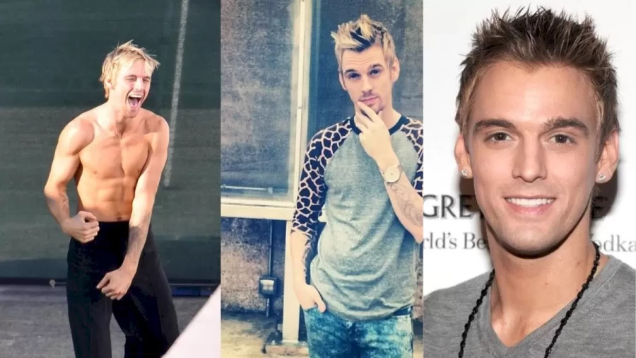 Aaron Carter Parents Net Worth, Who Are Aaron Carter Parents?