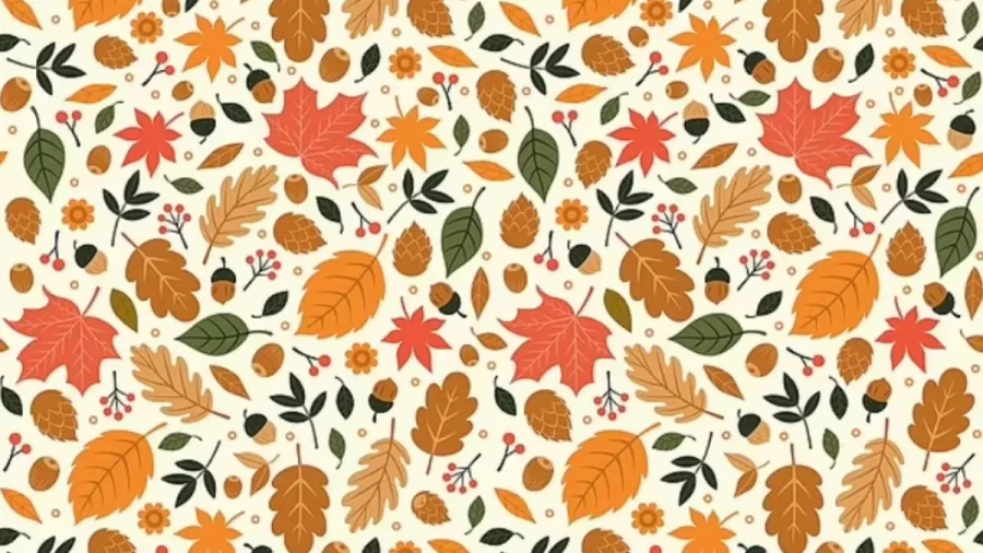 Brain Teaser Eye Test: Can You Find The Tiny Hedgehog Hiding In This Leafy Scene In 15 Secs? Seek And Find Puzzle