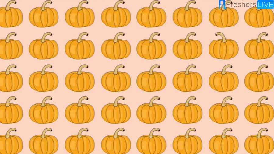 Brain Teaser Eye Test: Find The Odd Pumpkin In 30 Secs - Thanksgiving Edition