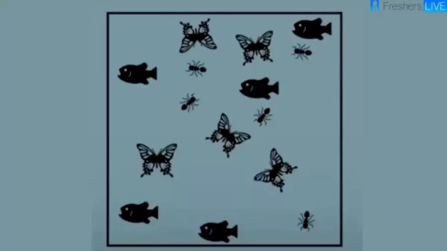 Brain Teaser Logical Puzzle: Draw 3 Straight Lines in such a way that in Each Part of the Box there will be One Butterfly, One Ant, and One Fish